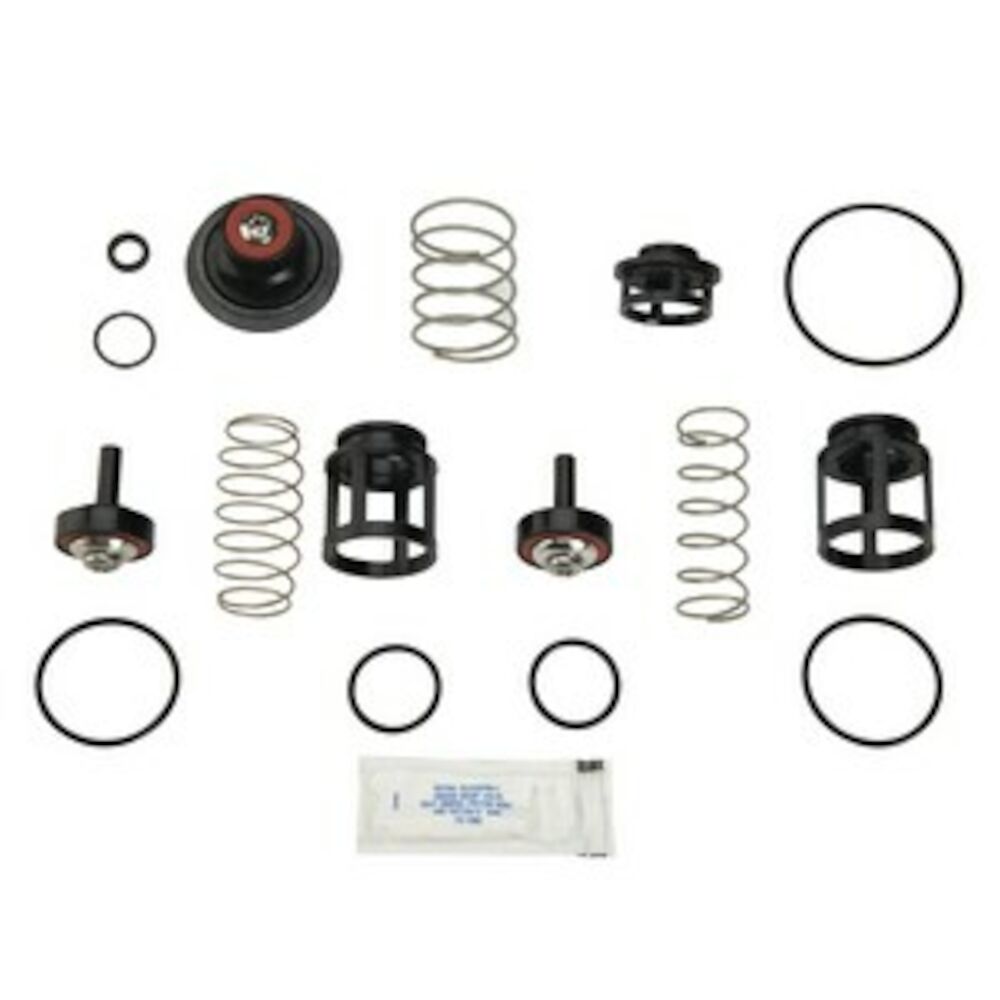 WATTS® 0888168 RK 919-T Total Repair Kit