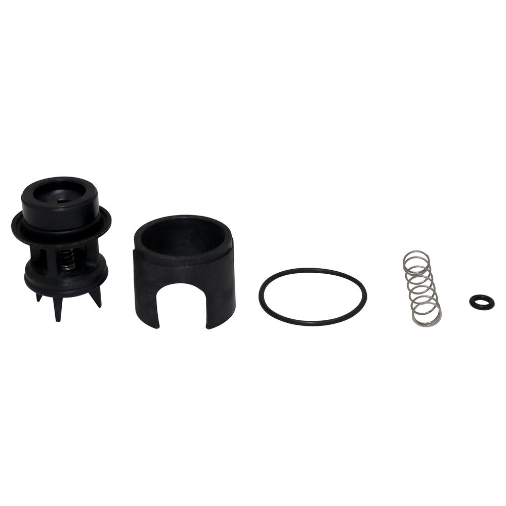 WATTS® 0887972 RK 008-T Check Kit