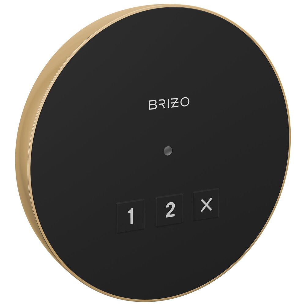 Brizo® 8CN-220R-PG-L Round Steam Shower Control, LED Indicator Display, Lumicoat Polished Gold
