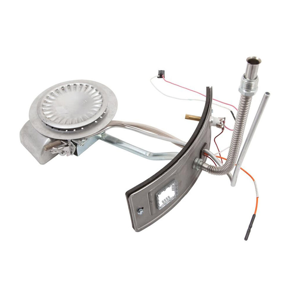 A.O. Smith® 100112342 Natural Gas Burner Door Assembly