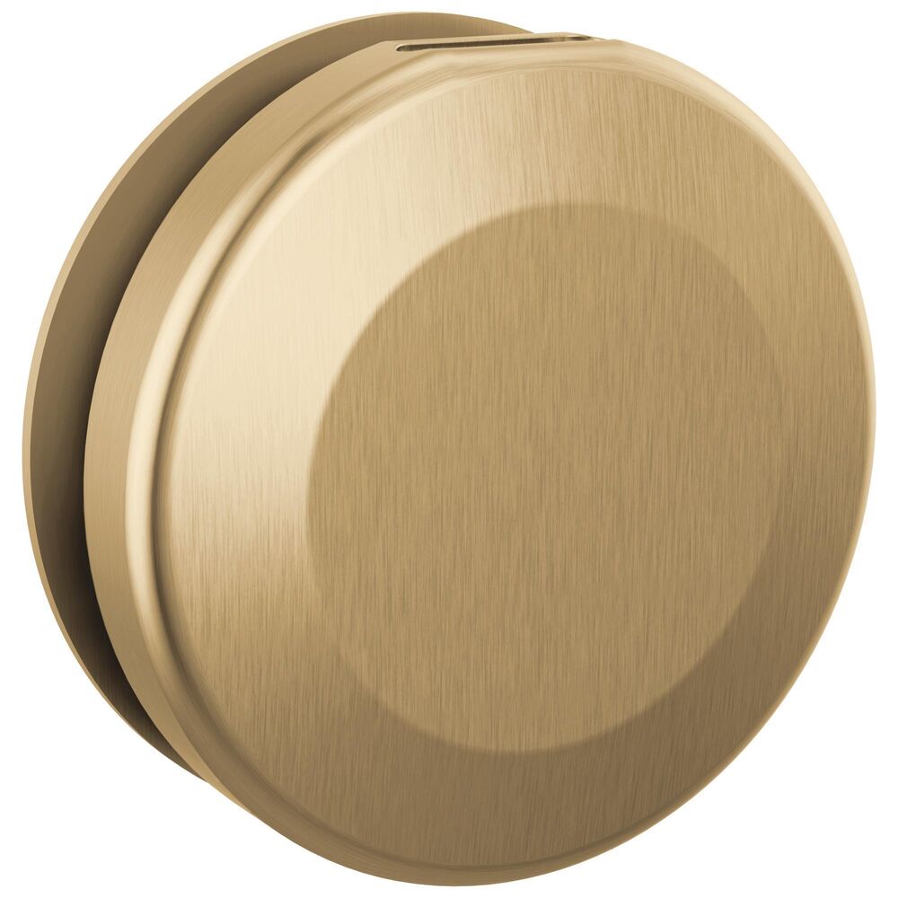 DELTA® RP103308CZPR Contemporary Round Steam Head, 3-3/8 in Dia, Lumicoat Champagne Bronze