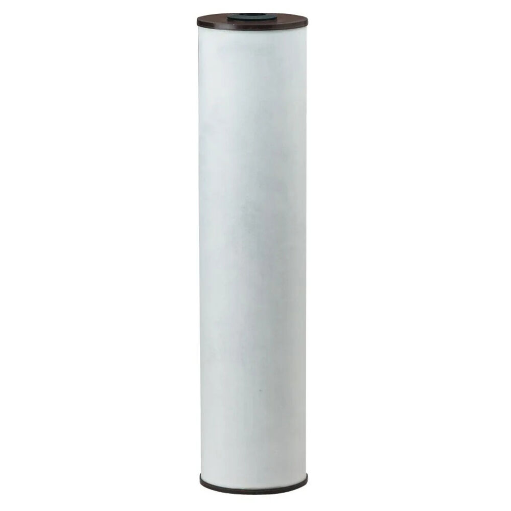 Pentek® 155263-03 RFFE20-BB Radial Flow Iron Filter