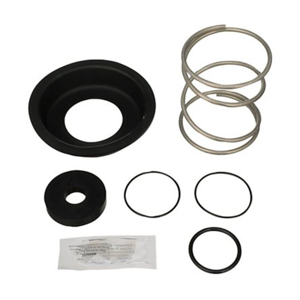 Zurn® Wilkins RK212-375RVCI Complete Internals Relief Valve Repair Kit