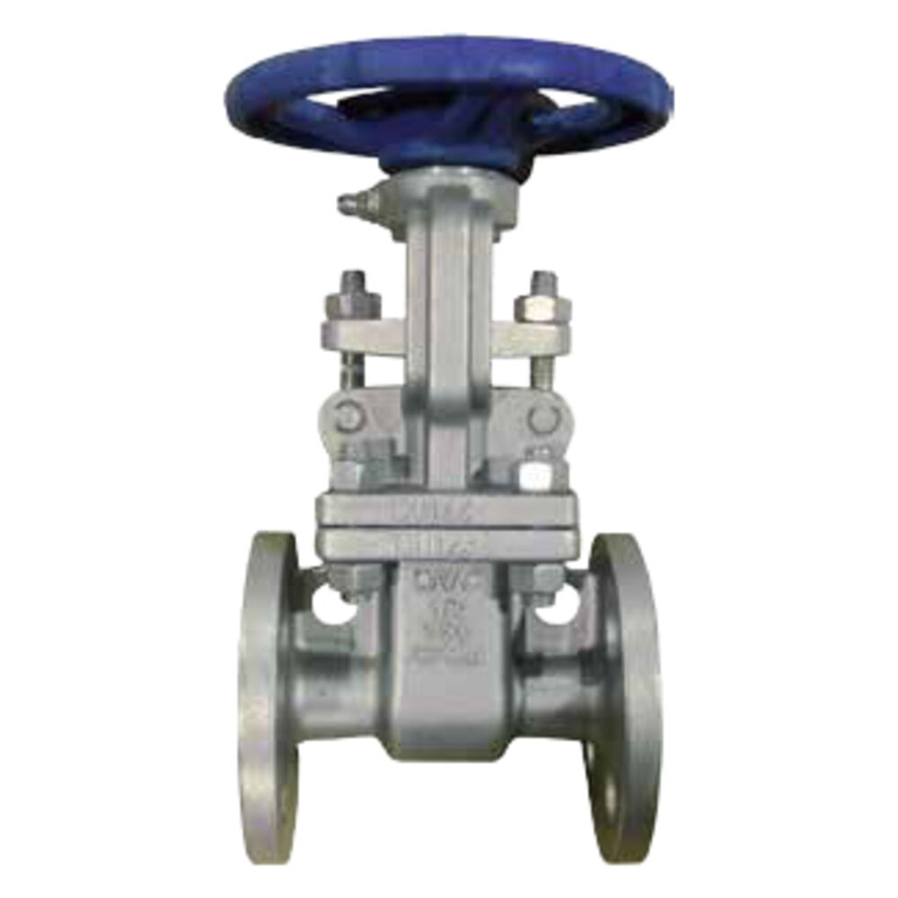 3" 150# 316 Stainless Steel Flanged Gate Valve