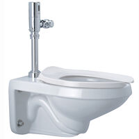 Ecovantage® Z5615-BWL Toilet Bowl, White, Elongated, 2-1/8
