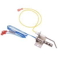 A.O. Smith® 100108831 Hot Surface Ignition | First Supply