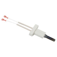A.O. Smith® 100110899 Igniter | First Supply