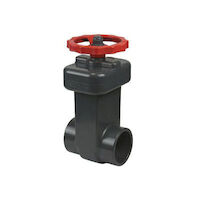 Spears® 2022-030 Gate Valve, 3