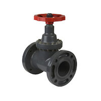 Spears® 6033-030 Globe Valve, 3