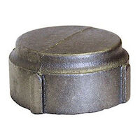 Anvil® 0318900800 FIG 381 Pipe Cap, 2-1/2
