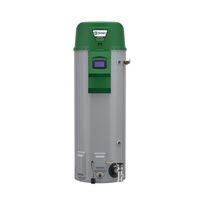 A.O Smith HDHE-50 Vertex 50 Gallon Direct Vent Residential Water Heater ...