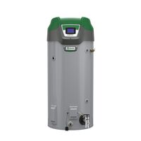 A.O Smith HDHE-75 Vertex 75 Gallon Direct Vent Residential Water Heater ...